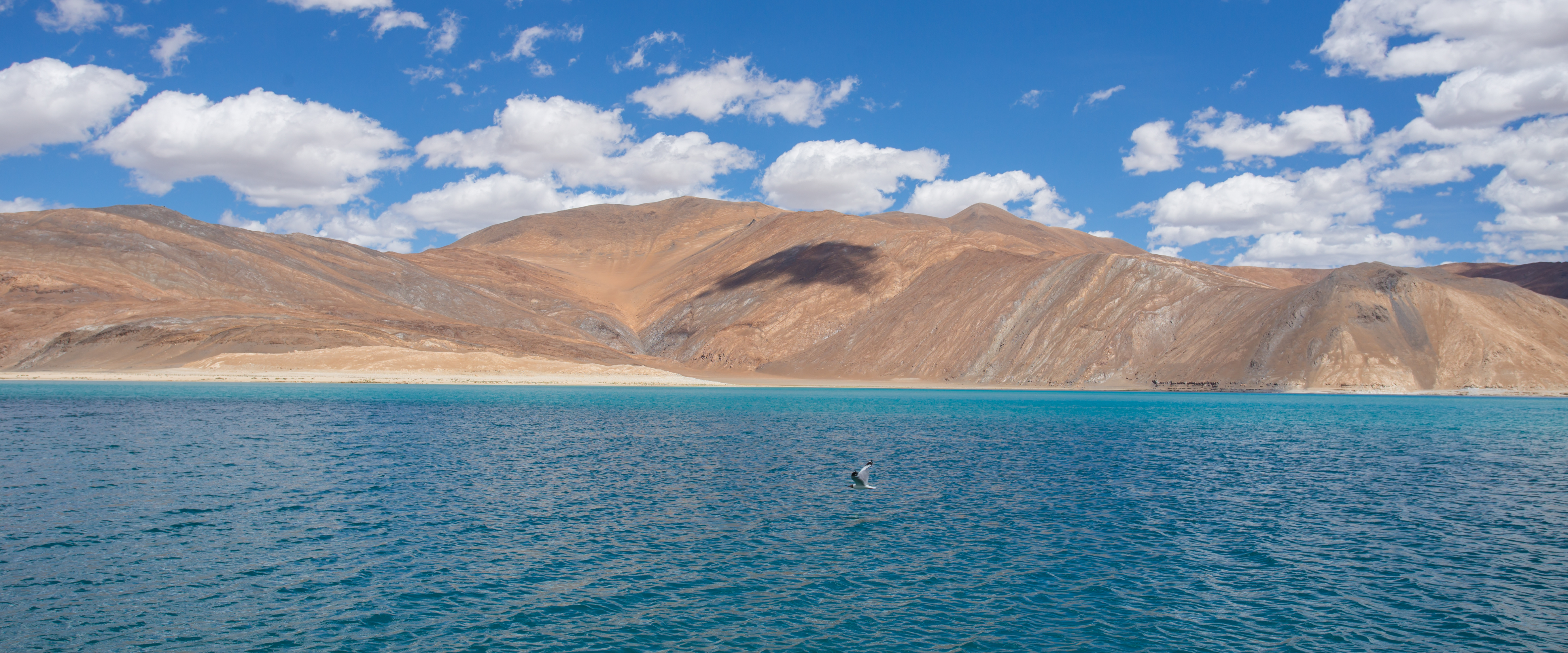 The Echoes of the Valley