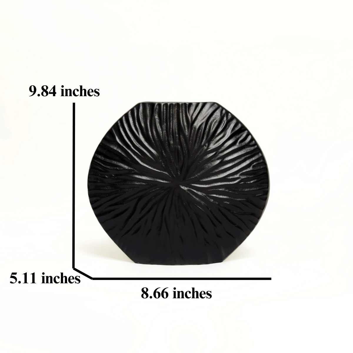 Abyss: A Black Metal Vase in Neoclassical Style with Radial Rays - A Cosmic Dance of Symmetry and Shadow.