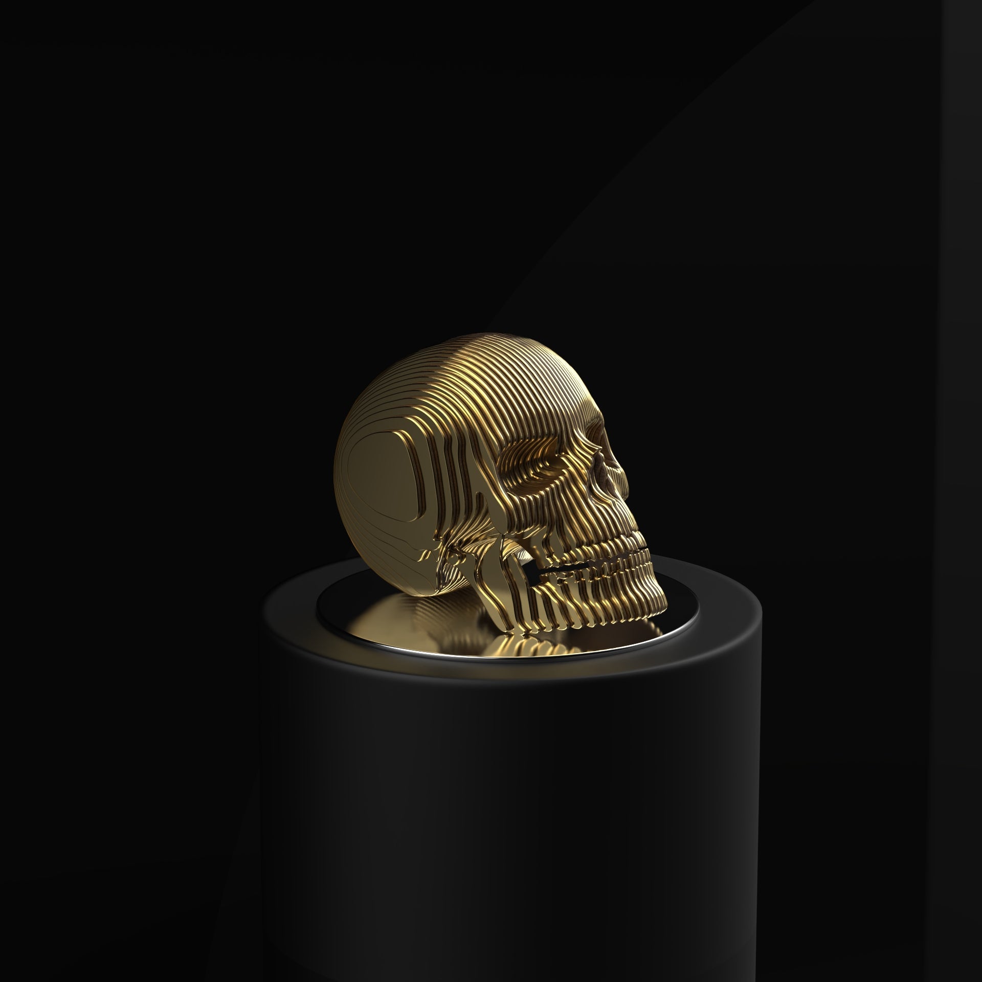 Bones – Statement Parametric Art for Luxury Homes